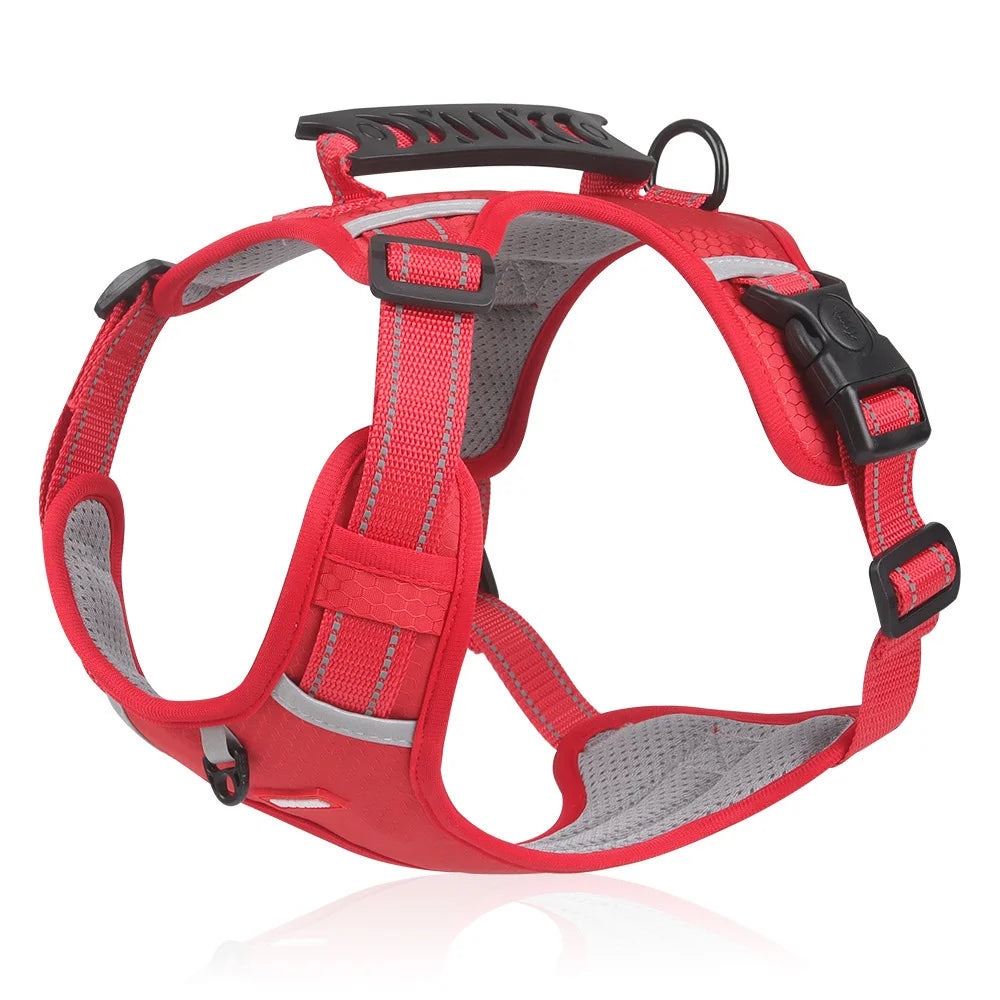 🐶【5–30 kg】Pojas za pse, protiv povlačenja, pojas za kućne ljubimce.