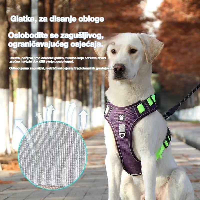 🐶🔥 【Vrijeme trajanja 50% popusta!】Prsni remen protiv zatezanja, uključuje trakcijsko uže i ogrlicu ✨ Maksimalna kontrola i sigurnost za svaku šetnju 🌙