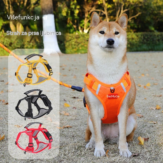 🐶【5–30 kg】Pojas za pse, protiv povlačenja, pojas za kućne ljubimce.