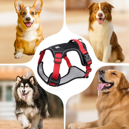 🐶🔥 【Vrijeme trajanja 50% popusta!】Prsni remen protiv zatezanja, uključuje trakcijsko uže i ogrlicu ✨ Maksimalna kontrola i sigurnost za svaku šetnju 🌙