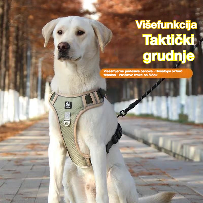 🐶🔥 【Vrijeme trajanja 50% popusta!】Prsni remen protiv zatezanja, uključuje trakcijsko uže i ogrlicu ✨ Maksimalna kontrola i sigurnost za svaku šetnju 🌙