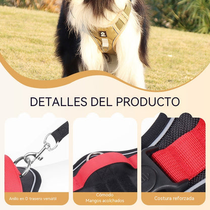 🐶🔥 50% POPUSTA OGRANIČENO VRIJEME! Pojas bez povlačenja s povodcem i ogrlicom ✨ Maksimalna kontrola i sigurnost u svakoj šetnji 🌙