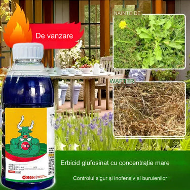 🌿【Cumpără 1 și primește 2 gratis】 Erbicid glufosinat de amoniu foarte concentrat