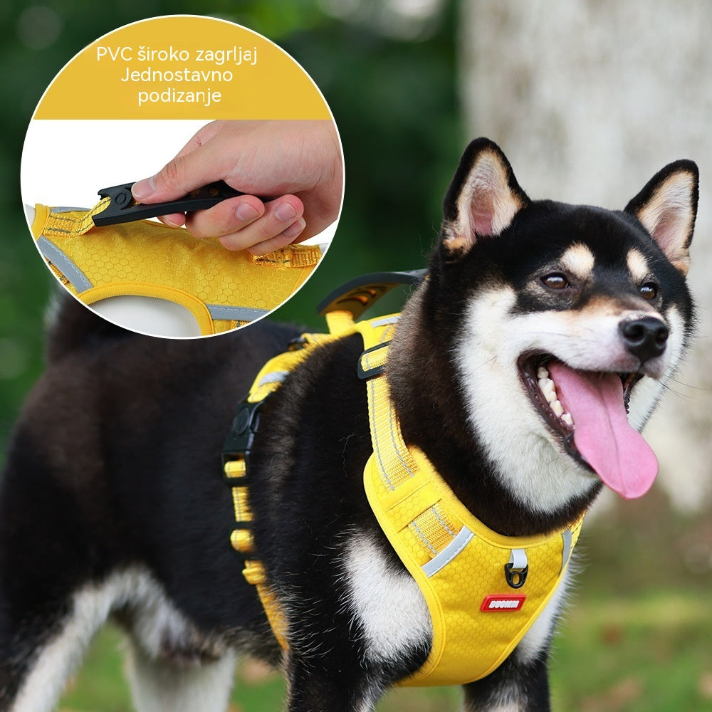 🐶【5–30 kg】Pojas za pse, protiv povlačenja, pojas za kućne ljubimce.