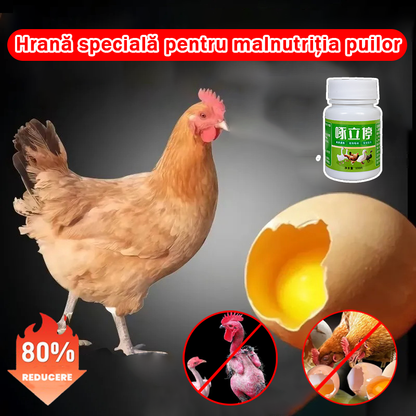 🐔🥚Bloc mineral pentru păsări💥【Cumpărați 2 sticle, primiți 2 gratuit】✅Gaini care ciugulesc serios pene, degetele de la picioare și fese ✅Găini care ciugulesc ouă✅Supliment de calciu pentru păsări de curte pentru a suplimenta nutriția