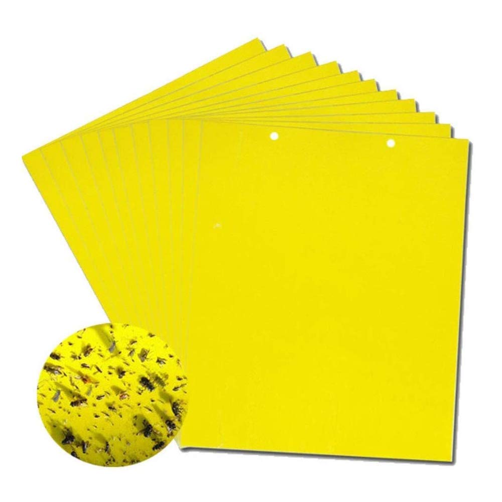 🐞【Pakiranje od 30 komada】Žuta dvostrana naljepnica s insektima✅️Plaćanje pouzećem