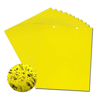 🐞【Pakiranje od 30 komada】Žuta dvostrana naljepnica s insektima✅️Plaćanje pouzećem