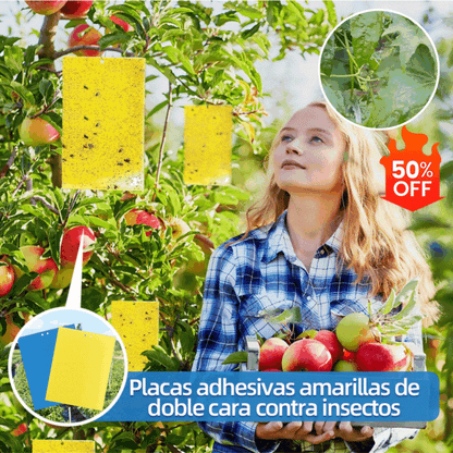 🐞【Pakiranje od 30 komada】Žuta dvostrana naljepnica s insektima✅️Plaćanje pouzećem