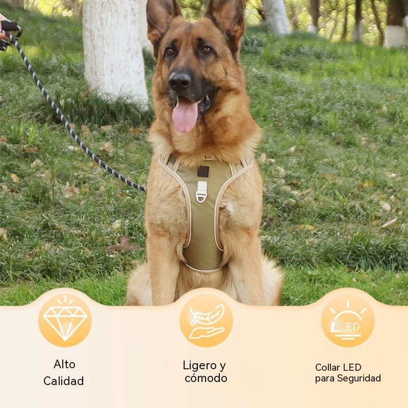 🐶🔥 50% POPUSTA OGRANIČENO VRIJEME! Pojas bez povlačenja s povodcem i ogrlicom ✨ Maksimalna kontrola i sigurnost u svakoj šetnji 🌙