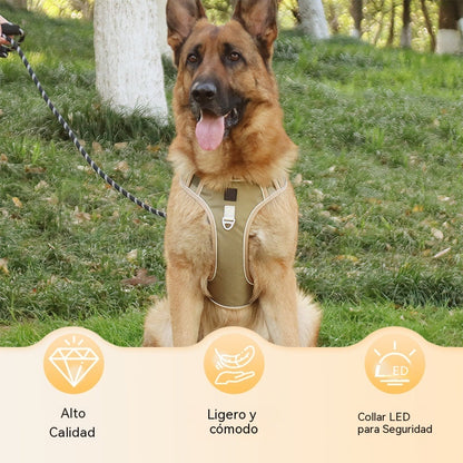 🐶🔥 50% POPUSTA OGRANIČENO VRIJEME! Pojas bez povlačenja s povodcem i ogrlicom ✨ Maksimalna kontrola i sigurnost u svakoj šetnji 🌙