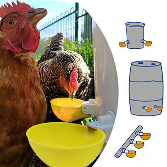 💥🔥🐔【Cumpărați 20 și primiți 20 gratuit】【40 buc】Boluri automate pentru mâncat pui, rață și gâscă