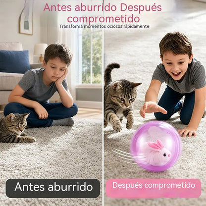 🥳¡El más vendido de 2026!🥳💞 ¡Más de 50.000 unidades vendidas! 💖🐱Pelota rodante interactiva con forma de animal